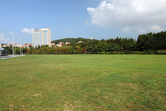 青島中山公園草坪