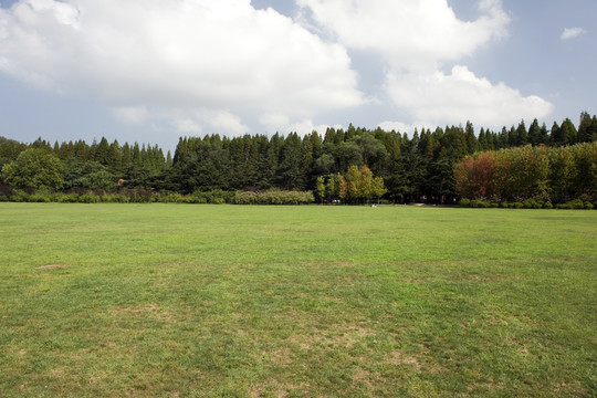 青島中山公園草坪