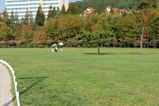 青島中山公園草坪