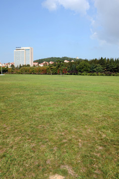 青島中山公園草坪