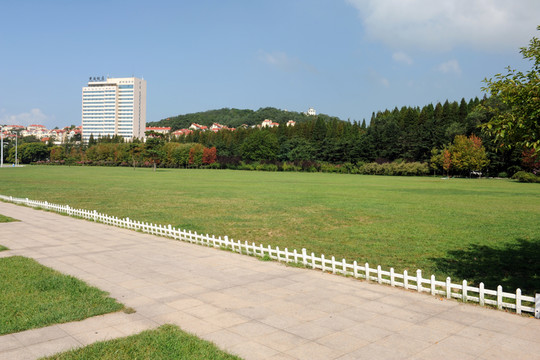青島中山公園草坪