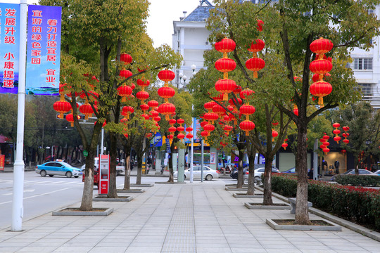 公園 紅燈籠