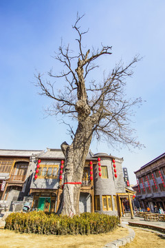 青州古街 偶園街 宋槐