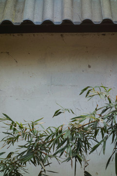 青瓦白墻綠竹