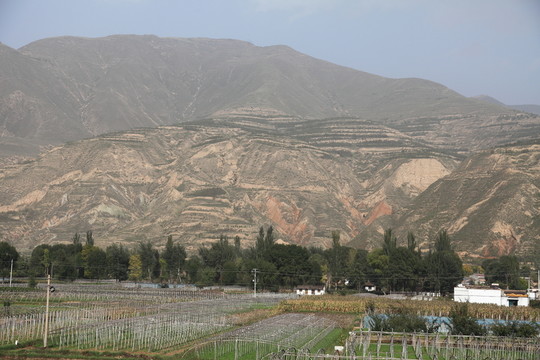 黃土高坡