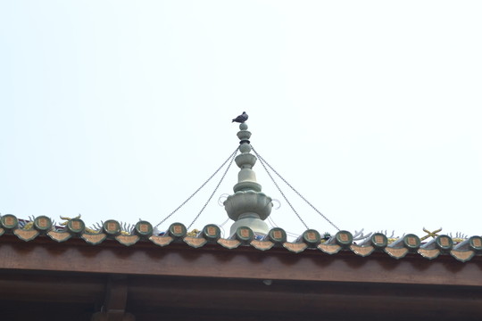 古建筑屋檐 房頂