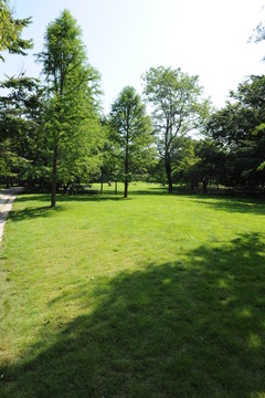公園草坪