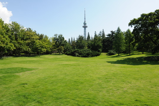 公園草坪
