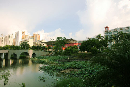 景觀園林