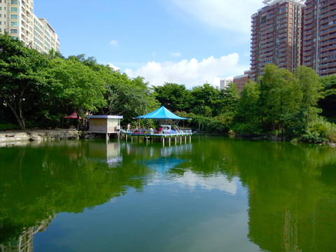霞湖一角