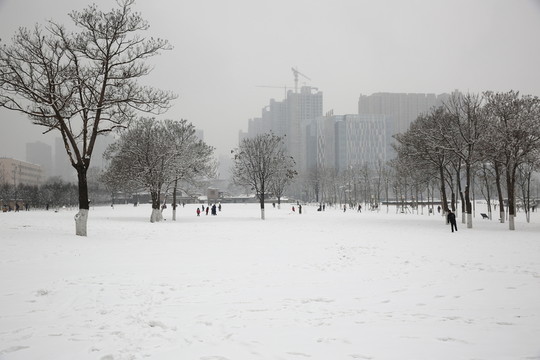 雪景