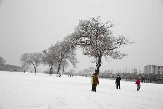 雪景