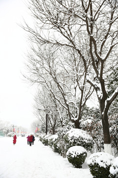 雪景