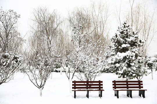 雪景