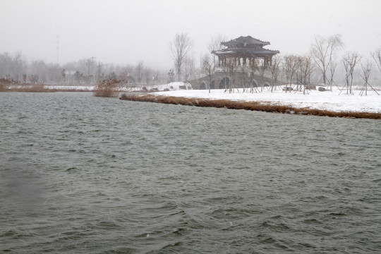 濕地雪景