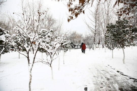 雪景