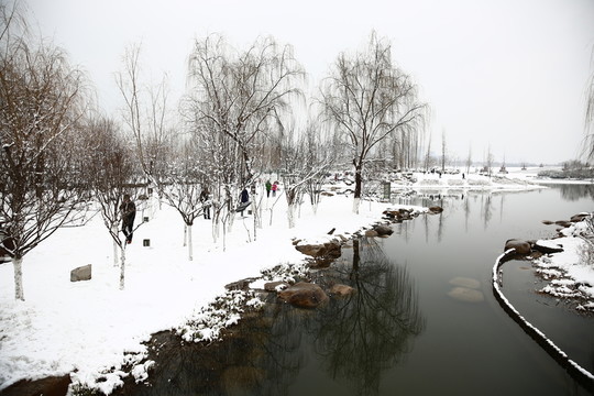 雪景