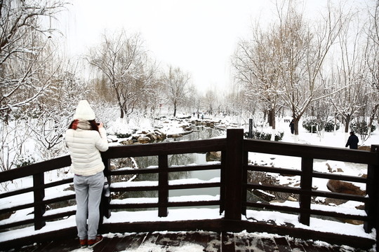 雪景