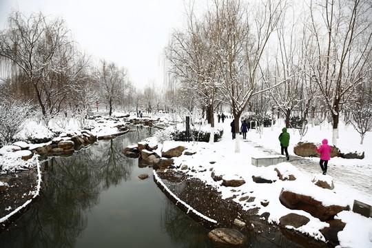 雪景