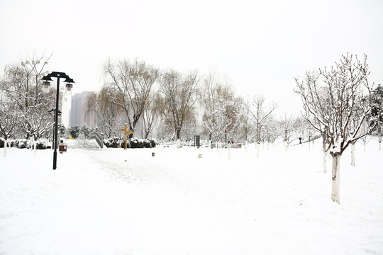 雪景
