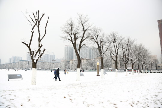 雪景