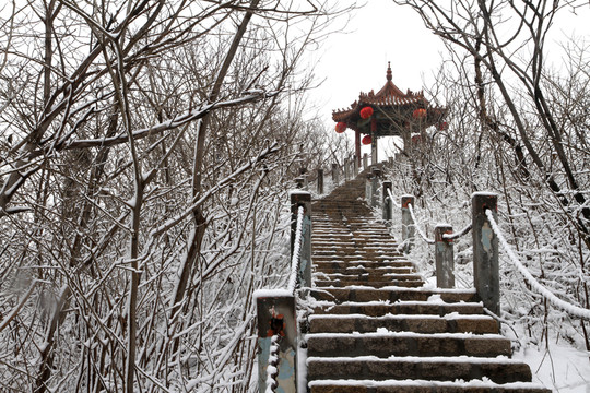 小山雪景
