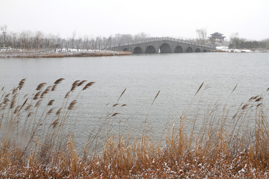 濕地公園雪景