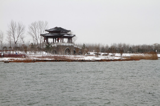 濕地雪景