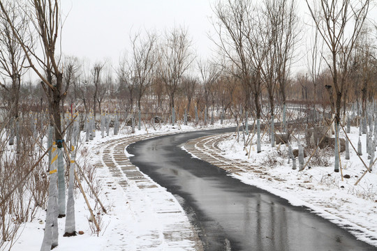 雪后小路