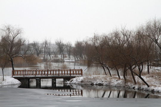 濕地公園雪景