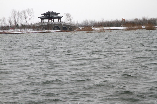 濕地公園