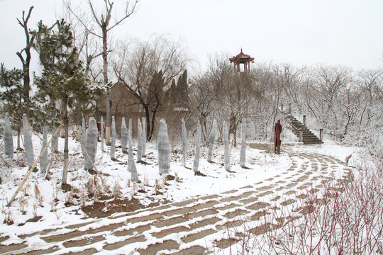 雪景 小路