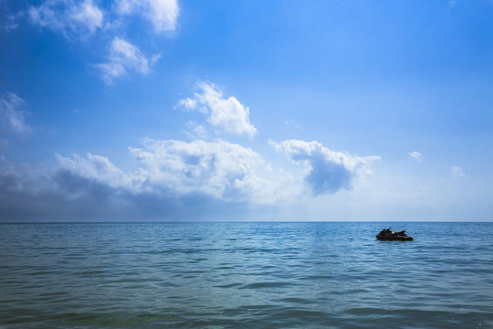 大海