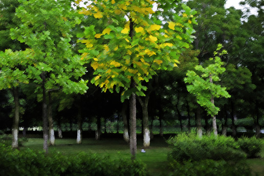 高清油畫（未分層）