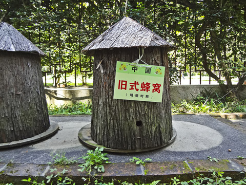 蜂箱