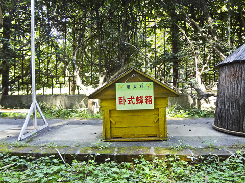 藝術蜂箱