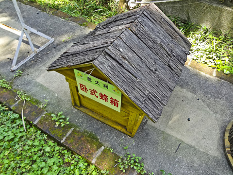藝術(shù)蜂箱