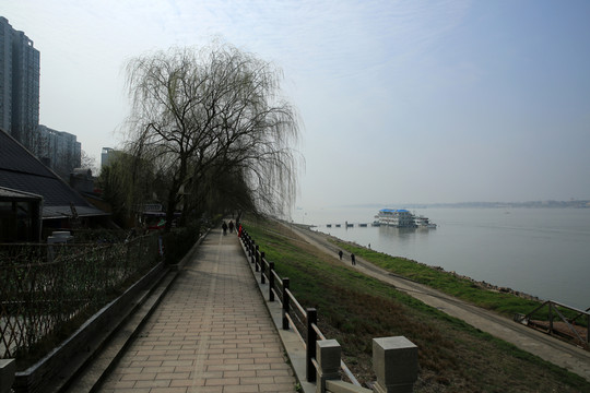 春色滿江堤