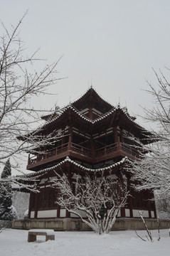 青龍寺