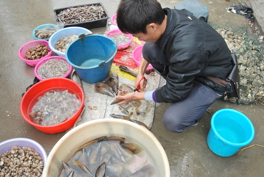 海鮮市場