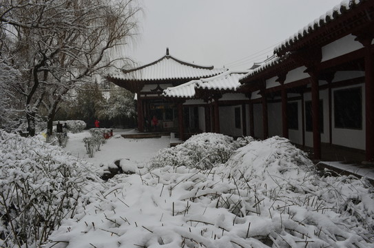 青龍寺