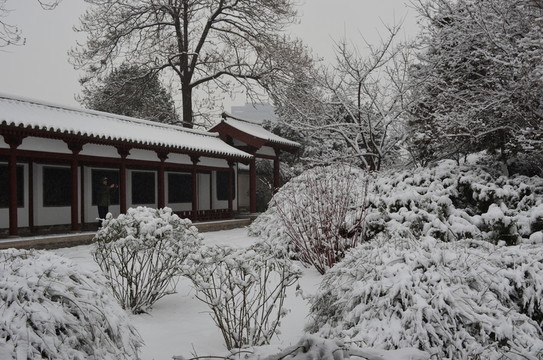 青龍寺