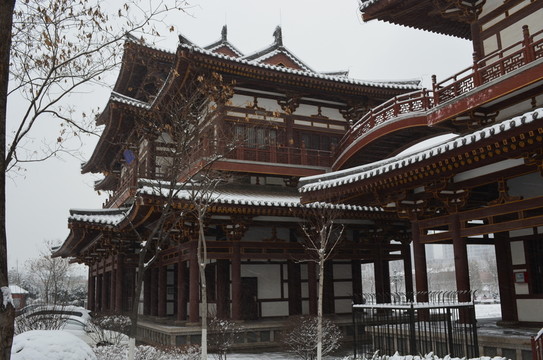 青龍寺