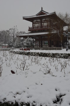 青龍寺