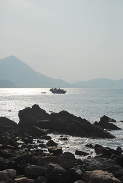 大海