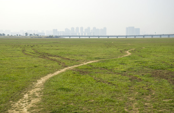 草地上的彎曲小路