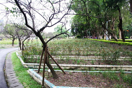 臺北士林官邸花園
