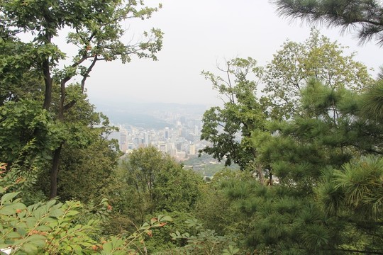 山林  城市俯瞰