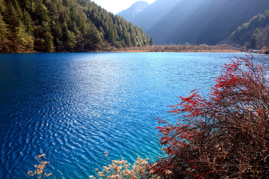 九寨溝老虎海