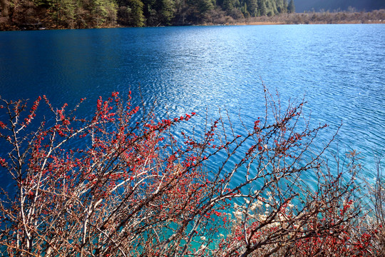 九寨溝 老虎海